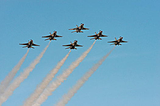 美国空军,雷鸟,飞,排列,大幅,尺寸