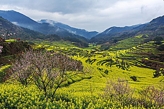 画里乡村篁岭