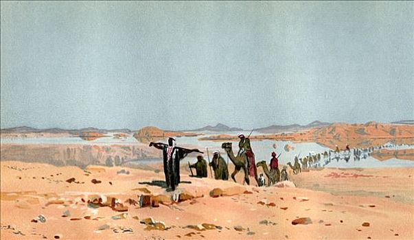 驼队,撒哈拉沙漠,19世纪