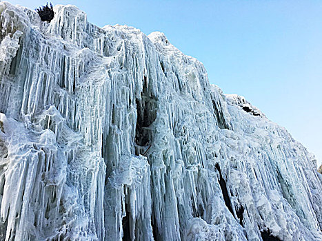 雪景