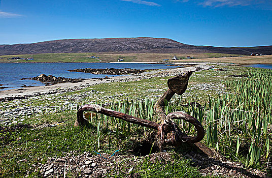 生锈,船,锚,岸边,设得兰群岛,苏格兰