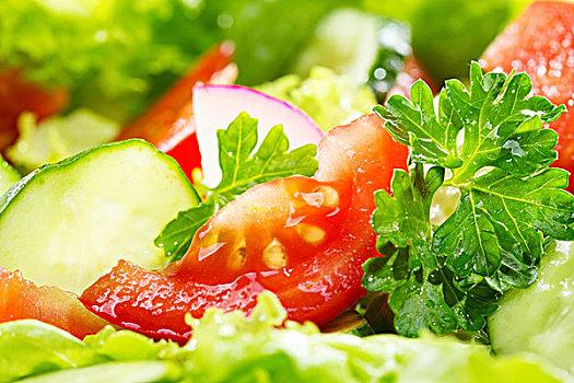 沙拉,蔬菜,绿色