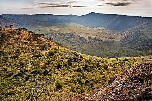 火山口,区域,伊丽莎白女王国家公园,乌干达