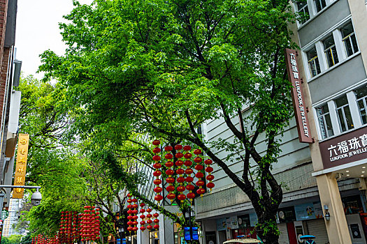 广州2023年春季广州北京路商业步行街雨中美景