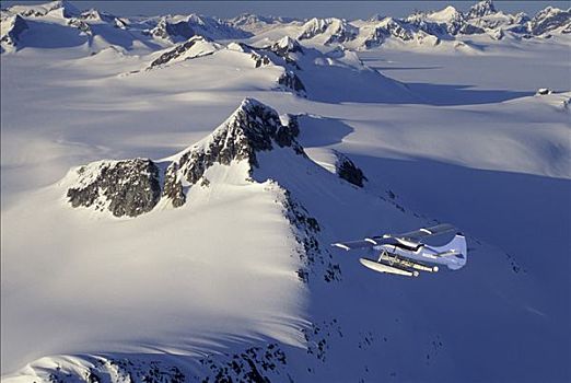 水上飞机,上方,朱诺冰原,海岸,水獭