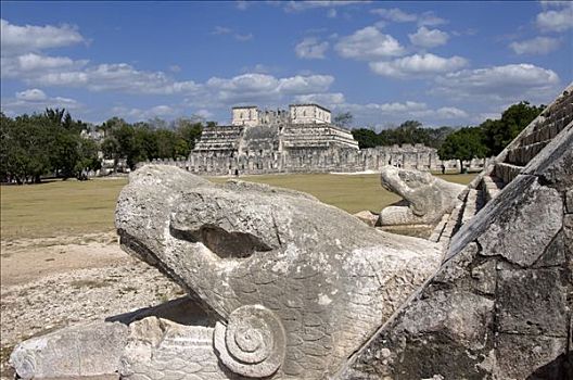 奇琴伊察,羽毛,毒蛇,神,武士神庙,背景,尤卡坦半岛,墨西哥,世界遗产