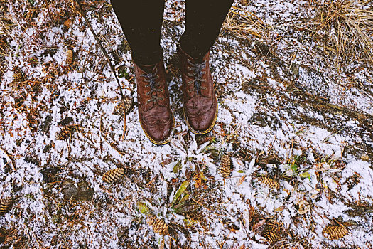 脚,女人,站立,树林,冬天,俄罗斯