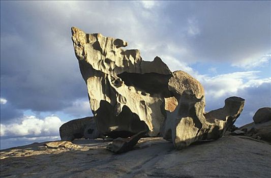 石头,袋鼠,岛屿,澳大利亚