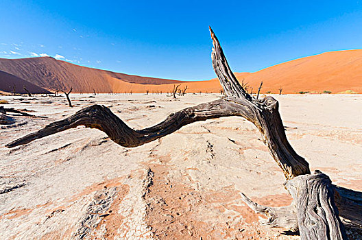 死亡谷,纳米比诺克陆夫国家公园,纳米布沙漠,索苏维来地区,区域,纳米比亚,非洲
