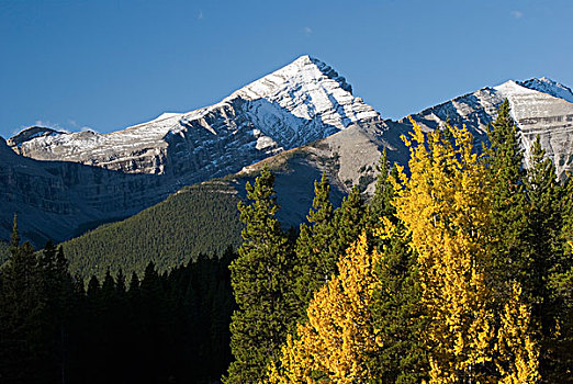 秋色,落基山脉,艾伯塔省,加拿大