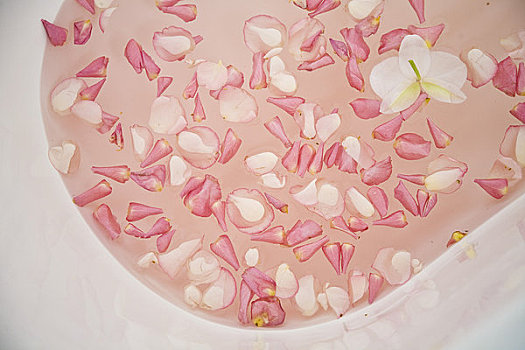 浴缸,粉红玫瑰,花瓣