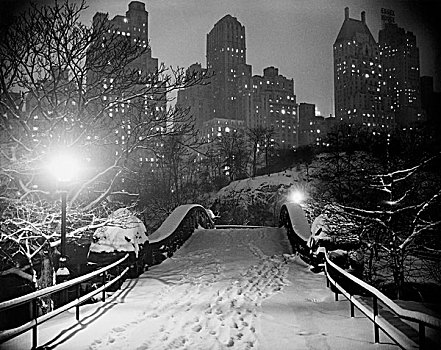 步行桥,公园,中央公园,曼哈顿,纽约,美国