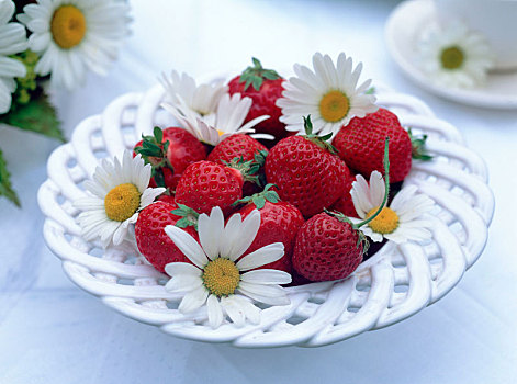碗,草莓属,草莓