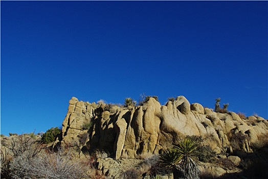 石头,丝兰,天空,约书亚树国家公园,加利福尼亚