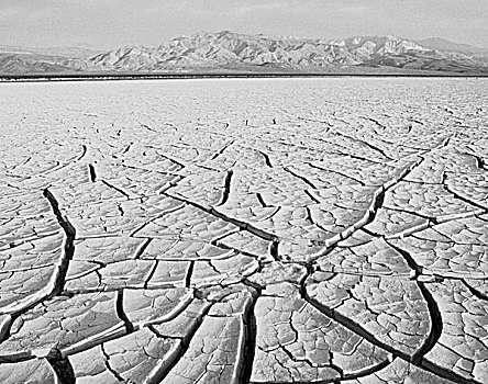 缝隙,泥,死谷,加利福尼亚,美国