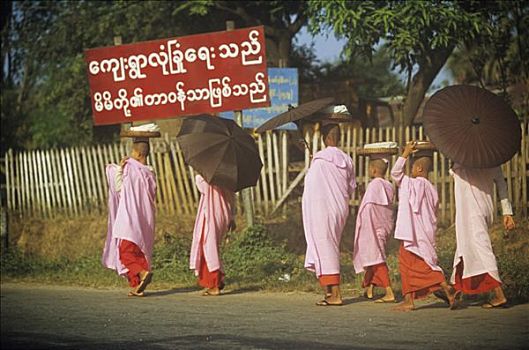 缅甸,靠近,仰光,女僧侣,施舍,早晨