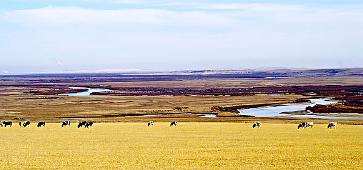 内蒙古草原