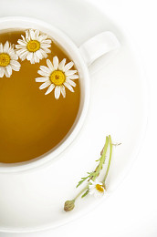 黄春菊茶图片