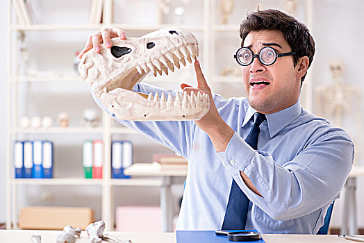有趣,疯狂,教授,学习,恐龙,骨骼