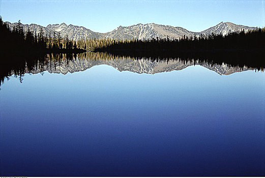 湖,高山,省立公园,不列颠哥伦比亚省,加拿大
