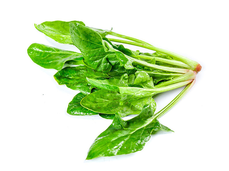 白底上放着新鲜菠菜_高清图片_全景视觉