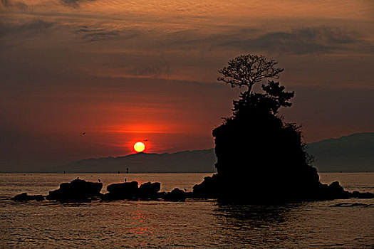 海滩,日出