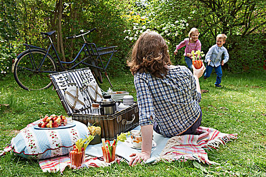 家庭,夏天,野餐