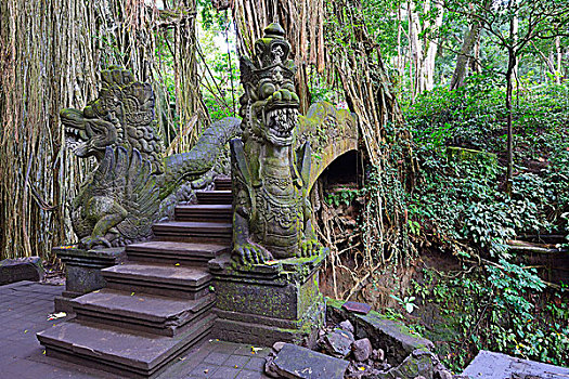 楼梯,上方,峡谷,神圣,春天,庙宇,乌布,猴子,树林,巴厘岛,印度尼西亚,亚洲