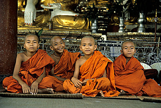 缅甸,年轻,僧侣,长袍,瑞光大金塔,仰光