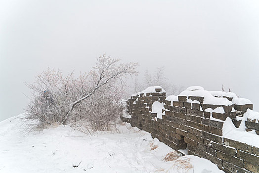 长城冰雪桃花