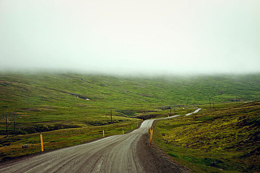 雾,街道,冰岛,风景