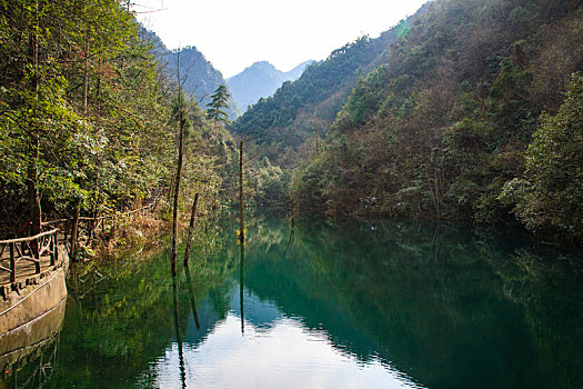 水池,倒影,鱼,廊桥