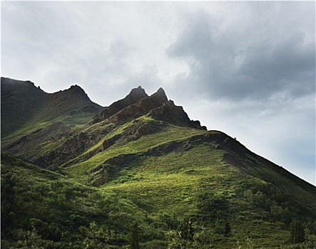 阿拉斯加,山