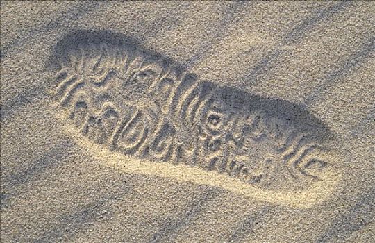 脚印,沙子,岬角,国家公园