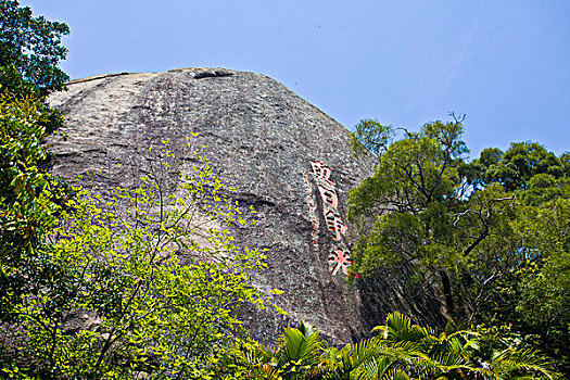 福建,厦门,鼓浪屿,海岛,日光岩,城市,全景,风光,风情,建筑,植被,旅游,游客