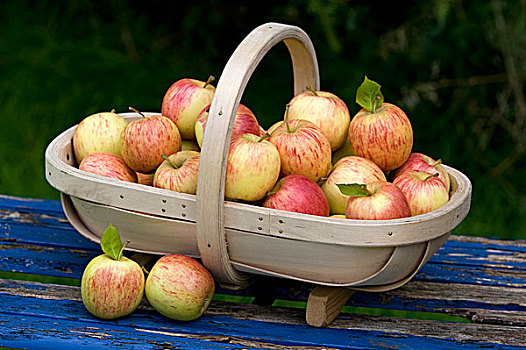 新鲜,苹果,木质,浅底篮