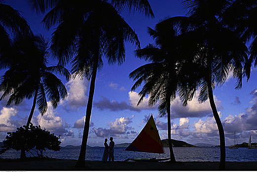 伴侣,站立,海滩,靠近,棕榈树,帆船,岛屿,英属西印度群岛