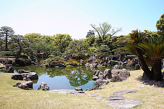 二条城,花园,京都,日本