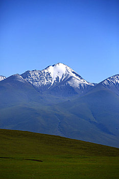 山