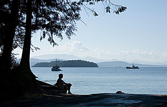 加拿大,不列颠哥伦比亚省,岛屿,港口,男人,坐,原木,远眺,海洋
