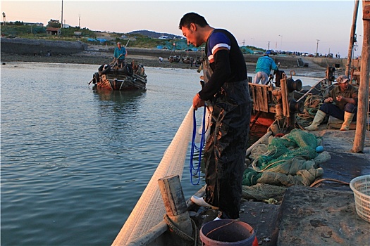 山东省日照市,捕鱼人在渔码头上天女散花,打的鱼儿真不少