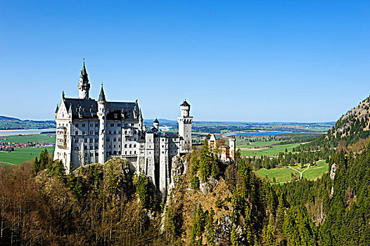 城堡,新天鹅堡,桥,东方,斯瓦比亚,巴伐利亚,德国,欧洲