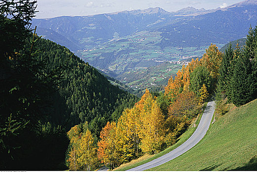 道路,山,意大利
