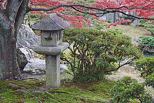 日本,京都,皇宫,花园
