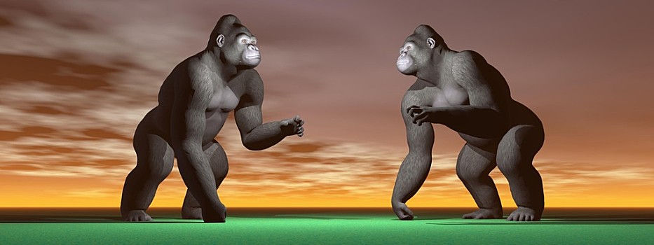 两只猩猩图片可爱图片