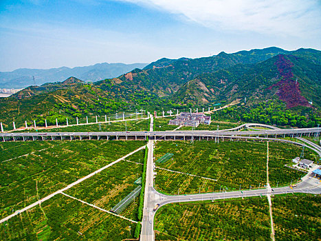 高速公路,田园,道路,山,绿色