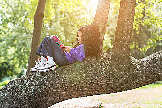 女孩,躺着,树枝,读,书本