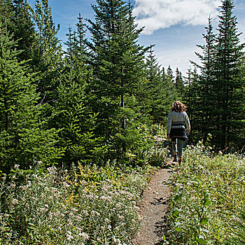 女人,徒步旅行,格罗莫讷国家公园,纽芬兰,拉布拉多犬,加拿大