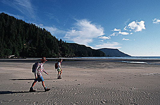湾,岬角,省立公园,远足,海滩,夫妻,温哥华岛,不列颠哥伦比亚省,加拿大