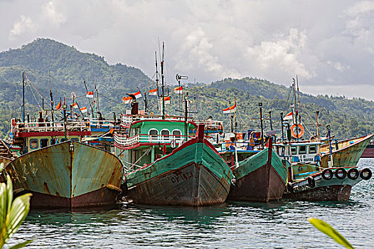 渔船,港口,岛屿,印度尼西亚,亚洲